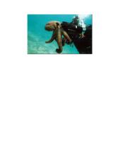 Moliuskų klasės 7 puslapis