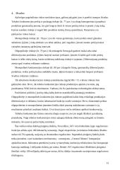 Monopolinės konkurencijos ir oligopolijos rinkos struktūros 13 puslapis