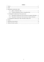 Monopolinės konkurencijos rinka bei jos ekonominis efektyvumas 2 puslapis
