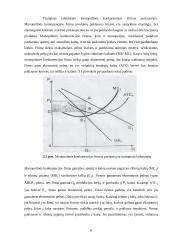 Monopolinės konkurencijos rinka bei jos ekonominis efektyvumas 6 puslapis