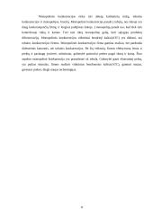 Monopolinės konkurencijos rinka bei jos ekonominis efektyvumas 8 puslapis