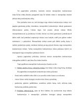 Monopolinės konkurencijos rinka ir jos ypatybės 2 puslapis