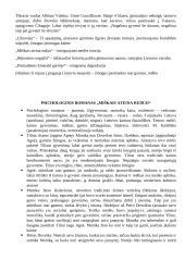 Nuo Krėvės iki Apučio: kūrinių analizės 8 puslapis