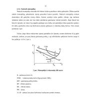 Monopolinės rinkos bruožai  ir  monopolijos susiformavimo priežastys 11 puslapis