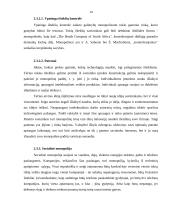 Monopolinės rinkos bruožai  ir  monopolijos susiformavimo priežastys 13 puslapis