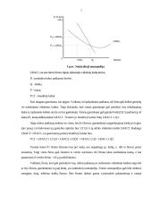 Monopolinės rinkos bruožai  ir  monopolijos susiformavimo priežastys 6 puslapis
