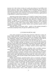 Moralės samprata 4 puslapis