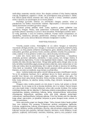 Moralės samprata 6 puslapis