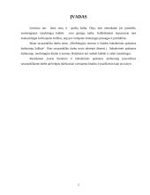 Morfologijos normos ir klaidos buhalterinės apskaitos  darbuotojų kalboje 2 puslapis