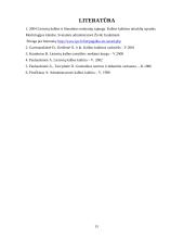 Morfologijos normos ir klaidos buhalterinės apskaitos  darbuotojų kalboje 13 puslapis