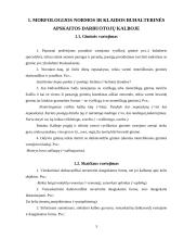 Morfologijos normos ir klaidos buhalterinės apskaitos  darbuotojų kalboje 3 puslapis