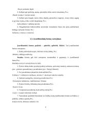 Morfologijos normos ir klaidos buhalterinės apskaitos  darbuotojų kalboje 4 puslapis