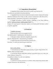 Morfologijos normos ir klaidos buhalterinės apskaitos  darbuotojų kalboje 7 puslapis