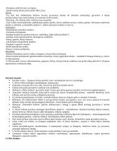 Plačiai apie Salomėją Nėrį 3 puslapis