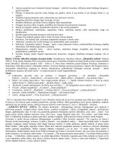 Plačiai apie Salomėją Nėrį 4 puslapis