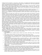 Plačiai apie Salomėją Nėrį 5 puslapis