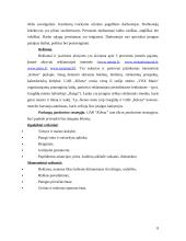 Motelio-kavinės rekreacinių sąlygų ir rekreacinės veiklos analizė: UAB "Kilena" 8 puslapis