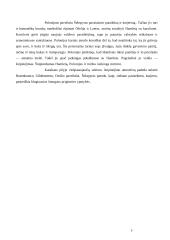 Šekspyro "Hamleto" sutrumpinta analizė 6 puslapis