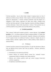 Cerebrinio paralyžiaus priežastys tipai ir gydymas 2 puslapis