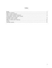 Moters įvaizdžio formavimas reklamoje. Lietuviško konteksto analizė 2 puslapis