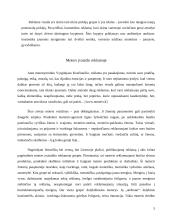 Moters įvaizdžio formavimas reklamoje. Lietuviško konteksto analizė 5 puslapis