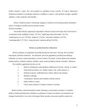 Moters įvaizdžio formavimas reklamoje. Lietuviško konteksto analizė 6 puslapis