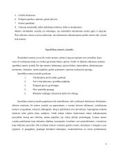 Moters įvaizdžio formavimas reklamoje. Lietuviško konteksto analizė 9 puslapis