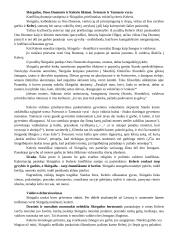 Vincas Krėvė 1882-1954 ir "Skirgaila" 6 puslapis