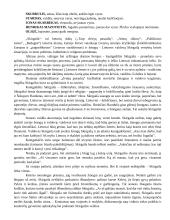 Skirgailos kūrėjas - rašytojas Vincas Krėvė 2 puslapis