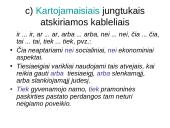 Lietuvių kalbos skyrybos taisyklių rinkinys 11 puslapis