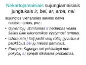 Lietuvių kalbos skyrybos taisyklių rinkinys 12 puslapis