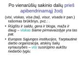 Lietuvių kalbos skyrybos taisyklių rinkinys 20 puslapis