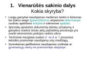 Lietuvių kalbos skyrybos taisyklių rinkinys 6 puslapis