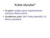 Lietuvių kalbos skyrybos taisyklių rinkinys 8 puslapis