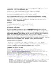 Sudėtinio prijungiamojo sakinio šalutinio dėmens privalomosios skyrybos taisyklės 3 puslapis