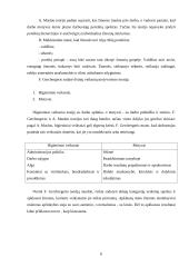 Motyvacija ir pinigai 6 puslapis