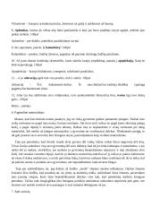 Onore Balzakas  - Tėvas Gorijo 9 puslapis