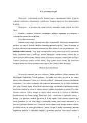 Motyvavimo metodai, taikomi Lietuvos ir užsienio įmonėse 4 puslapis