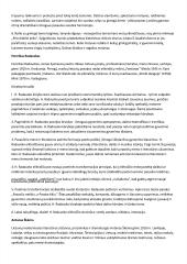 Platus autorių konspektas 12 puslapis