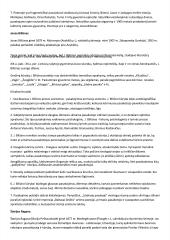 Platus autorių konspektas 3 puslapis