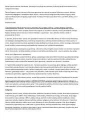 Platus autorių konspektas 4 puslapis