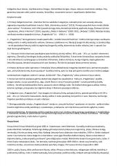 Platus autorių konspektas 5 puslapis