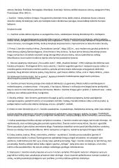 Platus autorių konspektas 10 puslapis