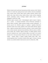 Muzikinis mąstymas 2 puslapis