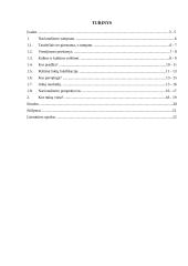 Nacionalizmo samprata 2 puslapis