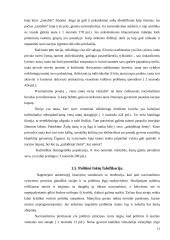 Nacionalizmo samprata 11 puslapis