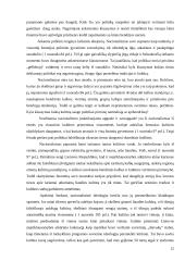 Nacionalizmo samprata 12 puslapis