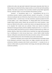 Nacionalizmo samprata 17 puslapis