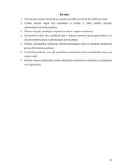 Nacionalizmo samprata 20 puslapis