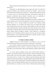 Nacionalizmo samprata 8 puslapis